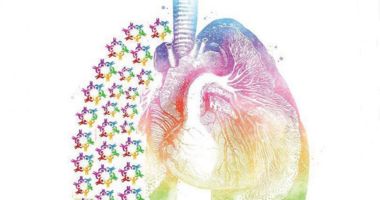 Clicca per accedere all'articolo Ipertensione polmonare nel ponente ligure