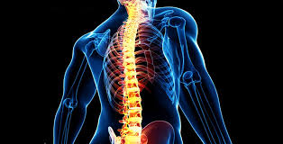 Clicca per accedere all'articolo Approccio multidisciplinare al trattamento del dolore acuto e cronico della colonna vertebrale